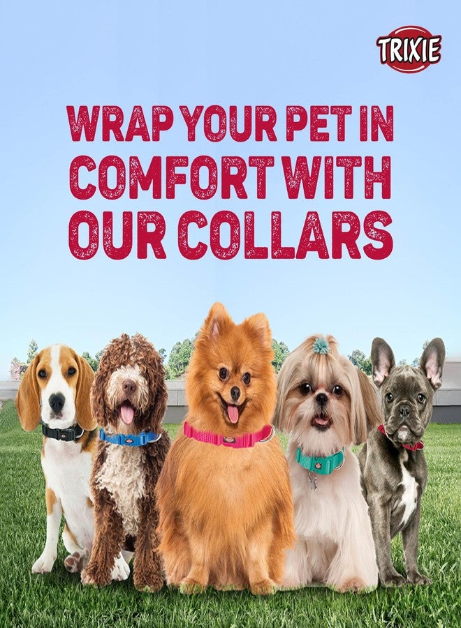 TRIXIE Premium Collar, Softline Elegance Collar For Dogs, Nylon Material With Fully Adjustable Collar, Strain-Relieved Buckle With Soft Padding (Small-Medium, Mint),?23 cm,W_4.5 cm,Teal - Image 4